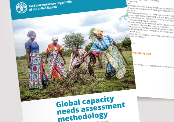 Global capacity needs assessment methodology
design and layout.