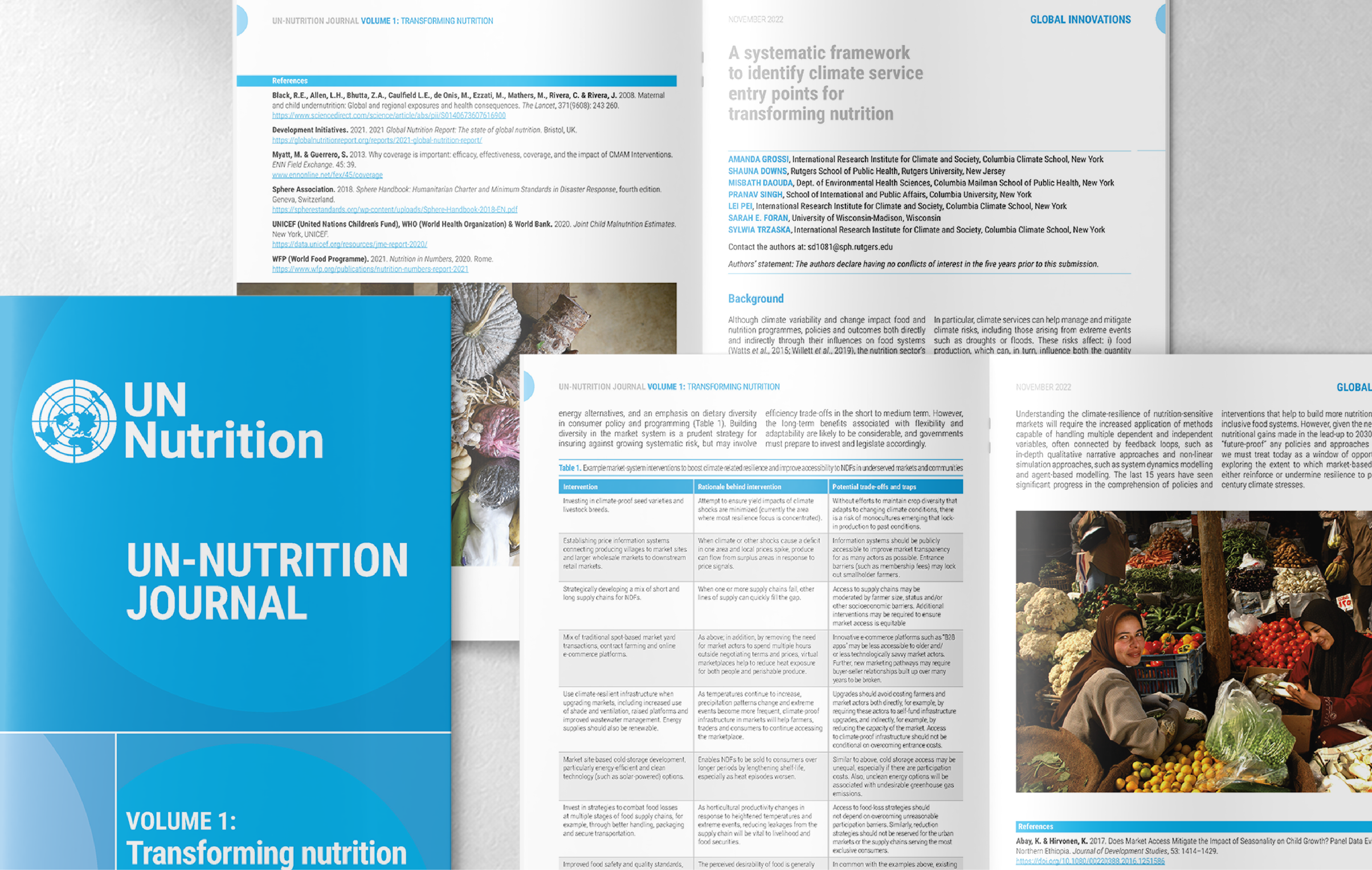UN Nutrition Journal