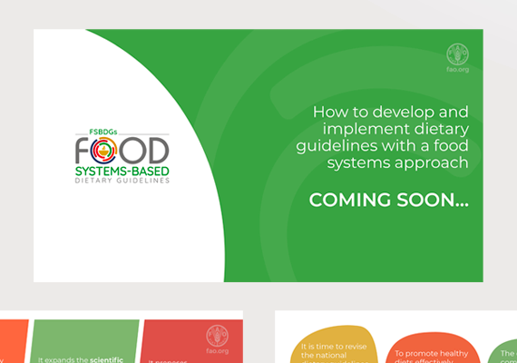 Cliente: FAO/ESN - Food and Nutrition Division > Teaser di presentazione