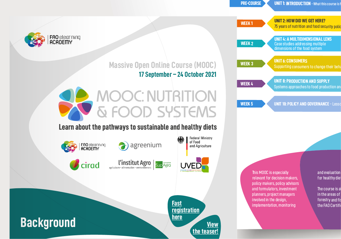 Cliente: FAO/ESN - Food and Nutrition Division > Key visual, flyer