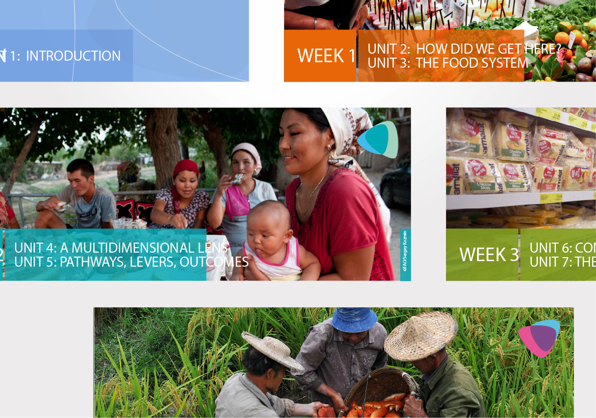 Cliente: FAO/ESN - Food and Nutrition Division > Banner interni per il sito del corso