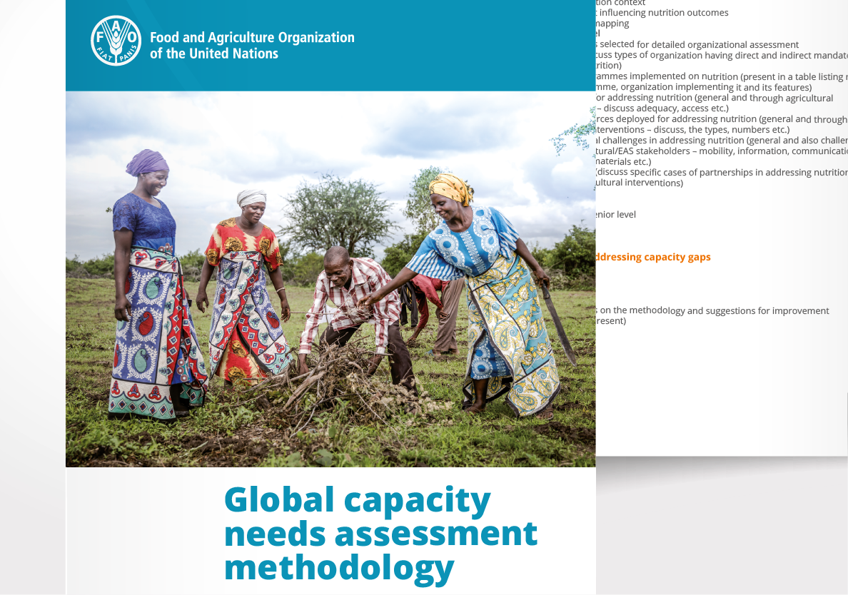 Cliente: FAO/ESN - Food and Nutrition Division > Progettazione editoriale e impaginazione report