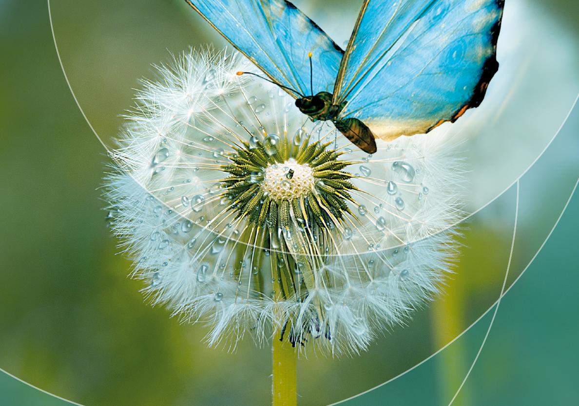 Cliente: collaborazione The Line Above ‘N’ Below > Visual per evento aziendale, totem
